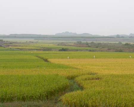 秋天的田野