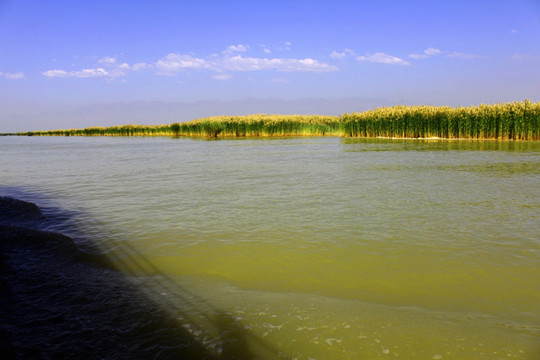 沙湖生态旅游区万亩水域