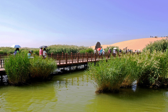 沙湖生态旅游区