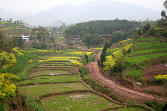 重庆 山区农田