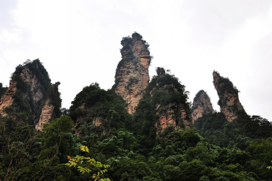 奇山