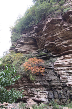 峡谷秋色