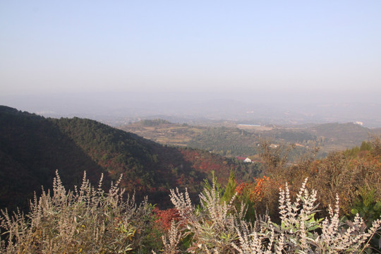 大寨山景