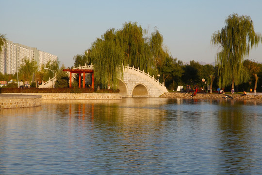 湖泊小桥