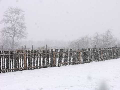 额尔古纳 雪中木栅栏