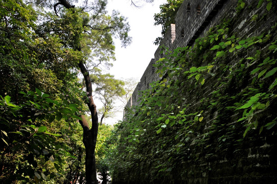 越秀公园 古城墙