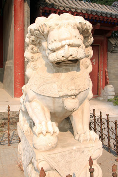 西海子公园 石狮子