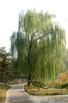圆明园