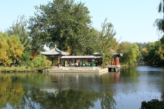 清华大学 近春园