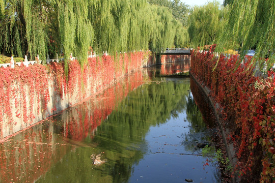 清华大学 护城河