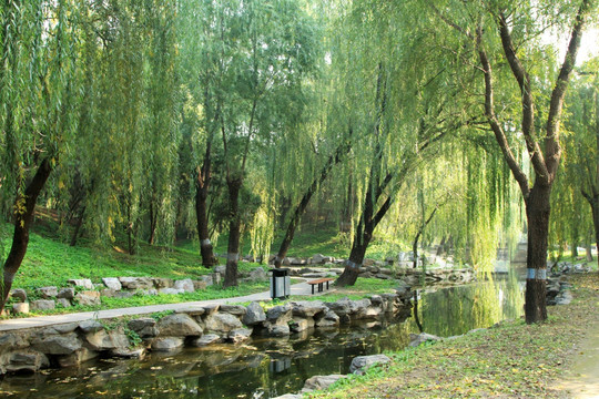 圆明园
