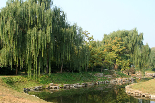 圆明园