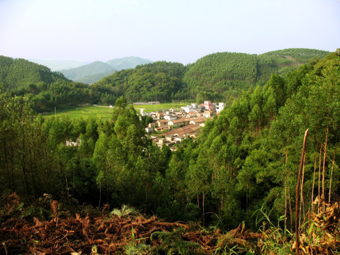 佛山第一峰 高明皂幕山 山脚