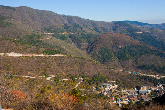 山村秀色