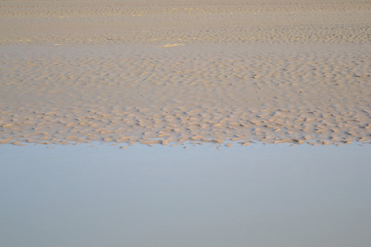 黄河沙洲