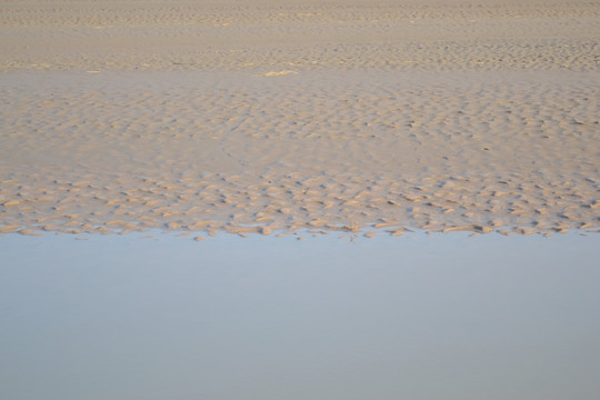 黄河沙洲