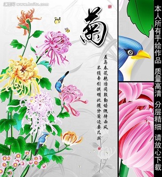 菊花 菊花图 无框画