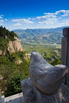 恒山天鸡