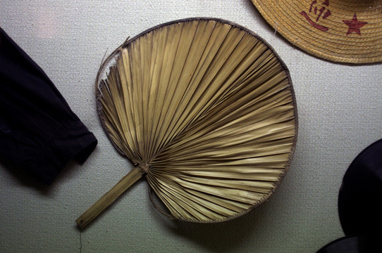 蒲扇