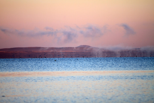 达里诺尔湖 晨雾水鸟