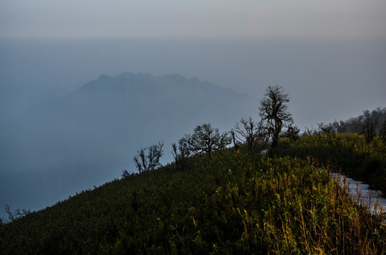 宁静的大熊山