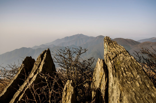 山