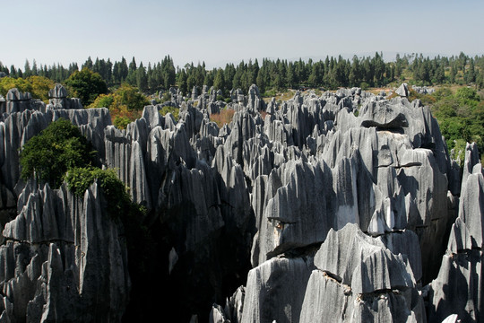 云南 石林风景区