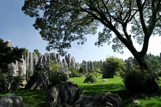 云南 石林风景区