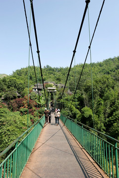 西双版纳原始森林公园 吊桥