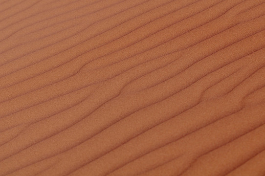 沙漠纹理（特写）