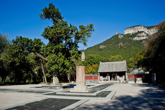 济南灵岩寺