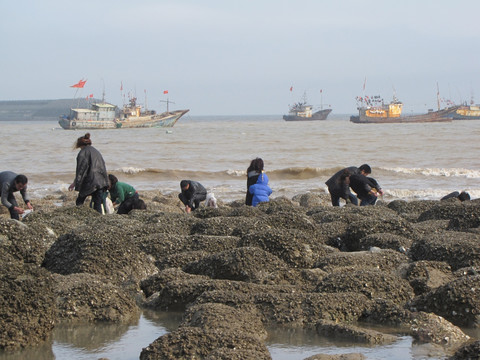 海边挖牡蛎的人 礁石 渔船