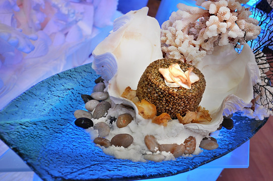 珊瑚海蚌