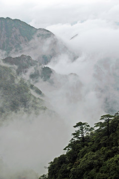 雨雾三清山