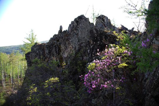 大兴安岭鄂温克岩画