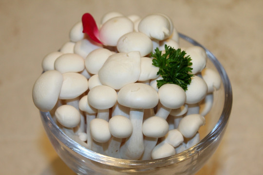 火锅配菜 白菌菇