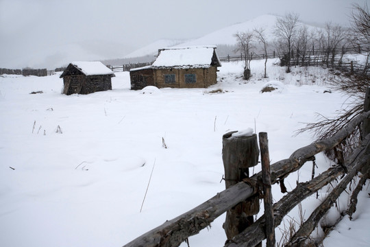 呼伦贝尔 白雪覆盖农家院