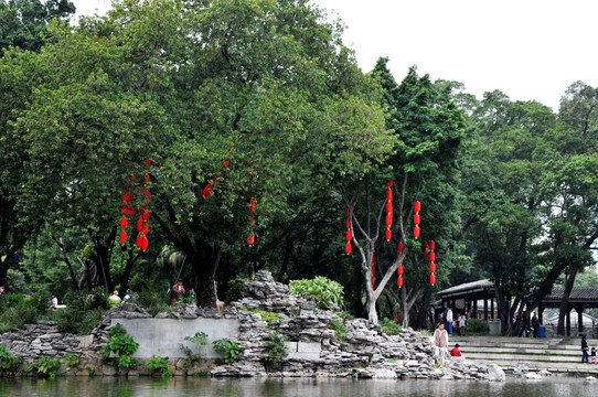 荔湾湖公园 假山