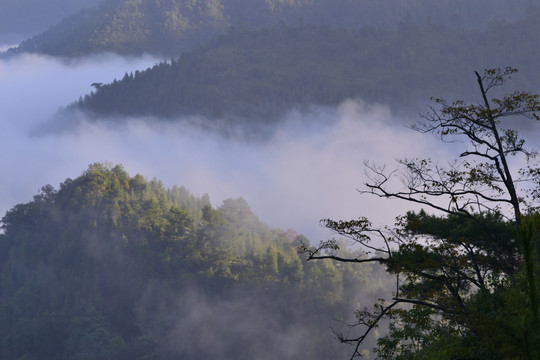 深山晨雾