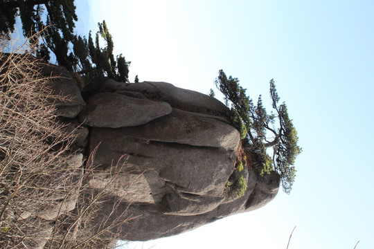 山