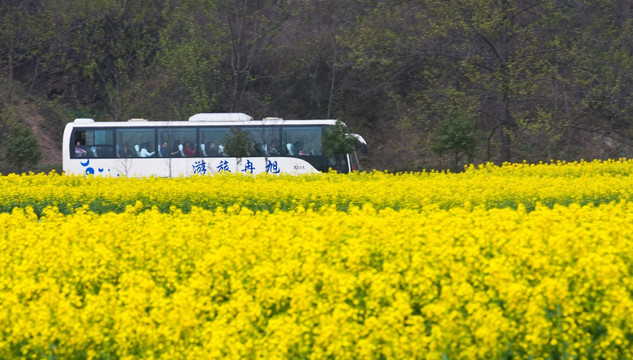 旭冉旅游车