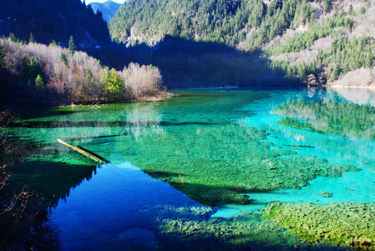 九寨沟五花海