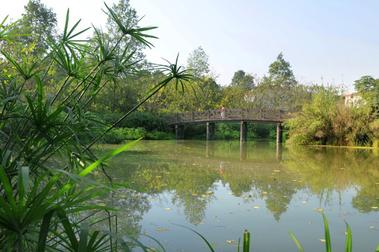 成都浣花溪湿地公园