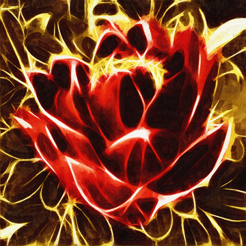 花朵装饰画