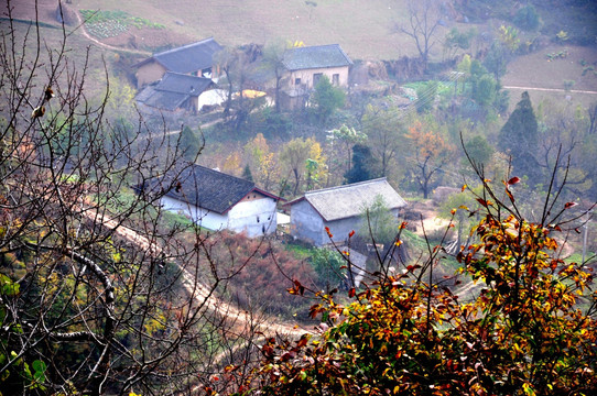 山村小景