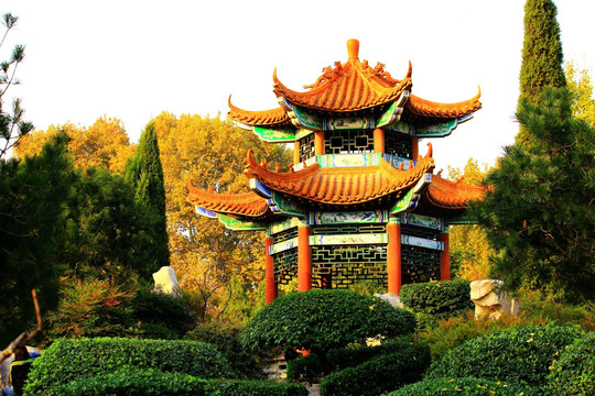 园林景观