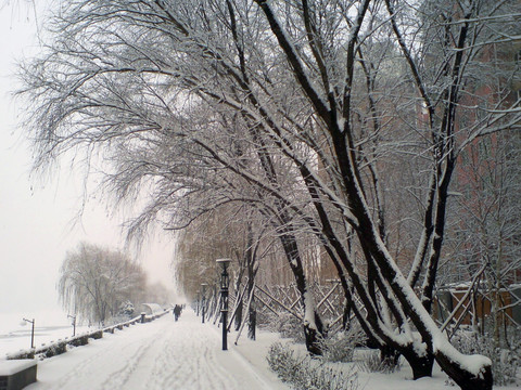 雪后凤城河畔雪景横图