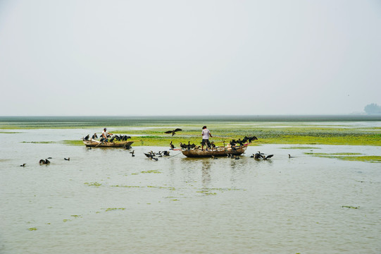 东平湖湿地