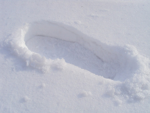 雪中脚印