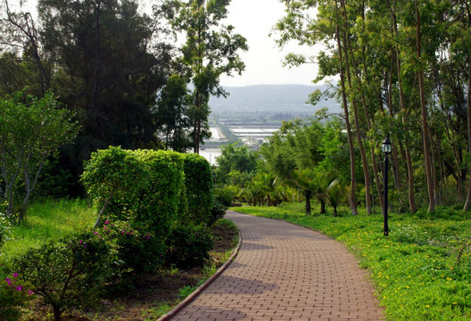 公园小路